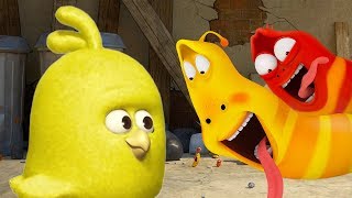 larva a big new friend cartoons for children larva official