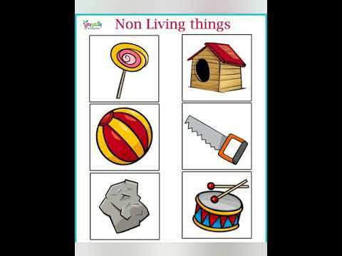 5 NON LIVING THINGS PART-2 - YouTube