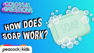 How Does Soap Work? | COLOSSAL QUESTIONS