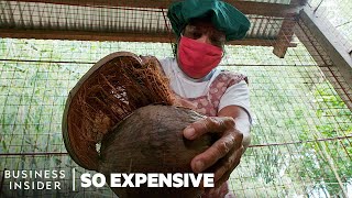 Why Coconut Oil Is So Expensive | So Expensive