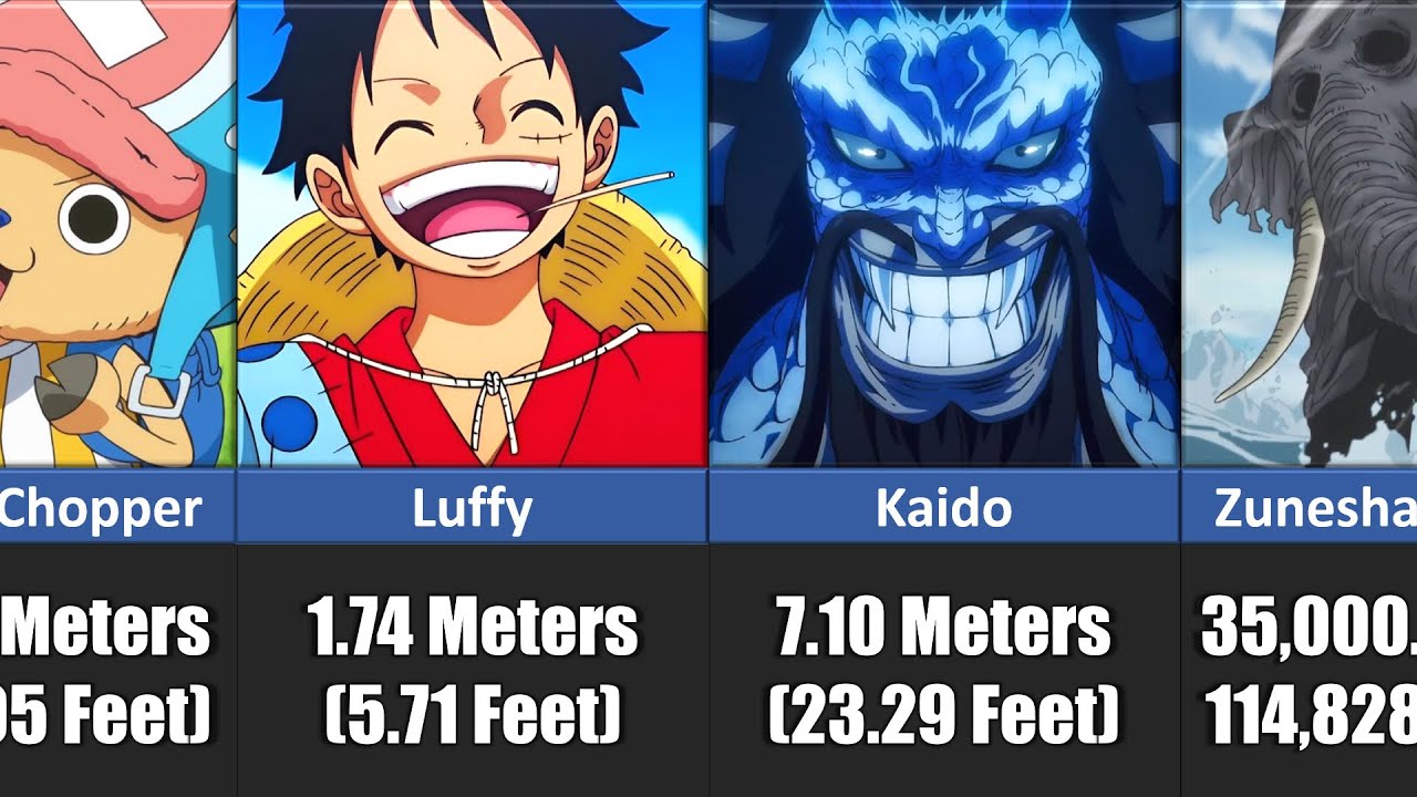 EVERY One Piece Characters Height (Smallest to Biggest) - YouTube