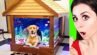 GENIUS Pet Inventions you won't believe exist !