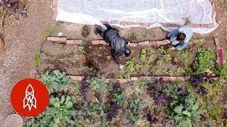 Helping the Homeless Through Farm-to-Table Training