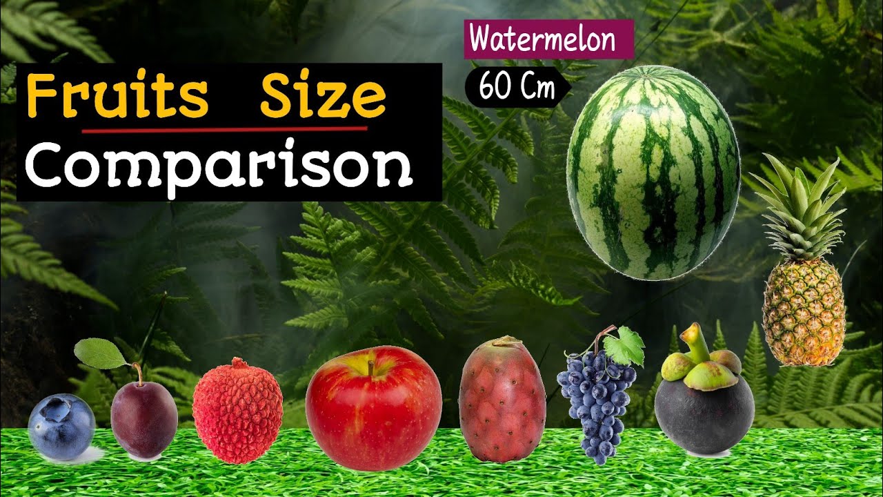 Fruit Size Comparison | 🍍🍎🍓🍇 | Size Comparison |#fruit | Data Side ...