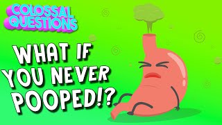 What Would Happen If You Never Pooped? | COLOSSAL QUESTIONS