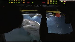 Sharks Attack Submarine - Blue Planet II Behind The Scenes