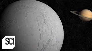 Is There Life on Enceladus?