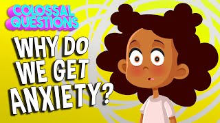 What is Anxiety & Why Do We Feel Anxious? | COLOSSAL QUESTIONS