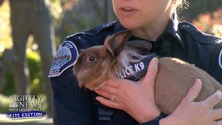 Meet Officer Percy Hops, the newest California police departments K9 | Nightly News: Kids Edition