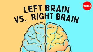 The left brain vs. right brain myth - Elizabeth Waters