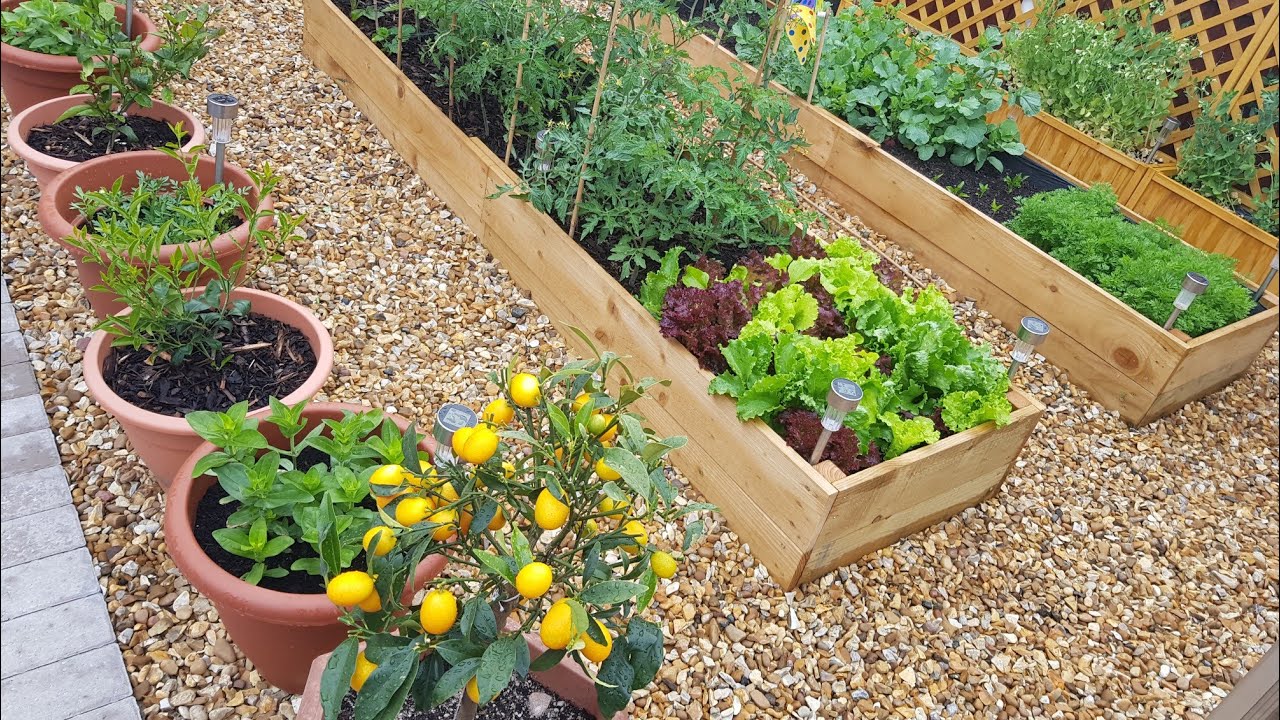 How To Grow A Garden in Any Space