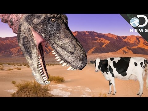 Why Aren't Modern Animals As Large As Dinosaurs?