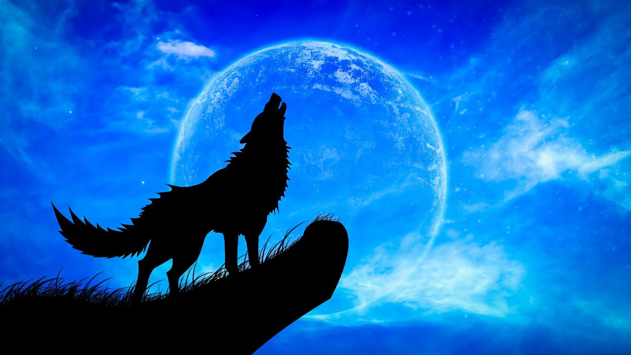 Worldwide Howl at the Moon Night | Wolves Howling at the Moon - YouTube