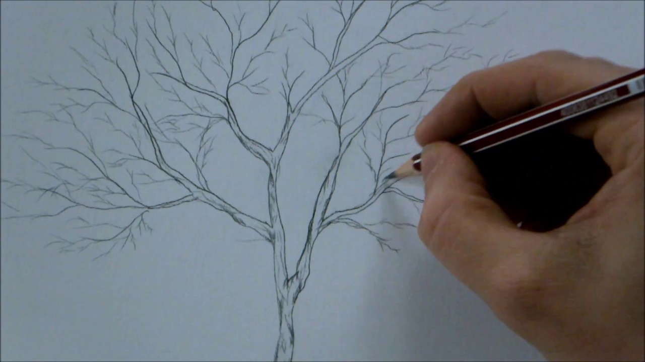 How to Draw a Tree Step by Step for Beginners In 8 Minutes - YouTube