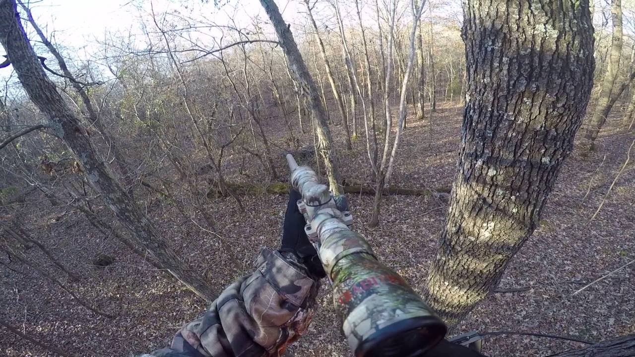 TN Traditions .50 cal deer hunt - YouTube