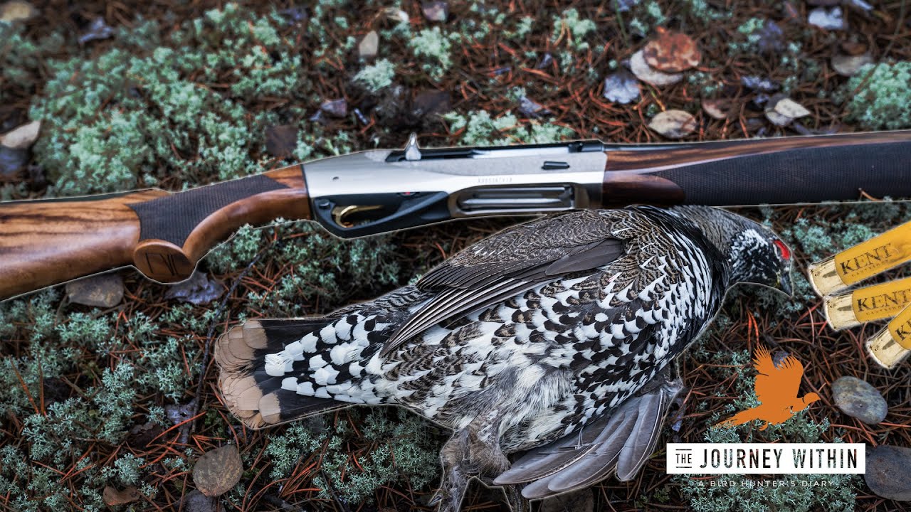 Canada Spruce and Ruffed Grouse: Benelli and Kent Cartridge Combo ...