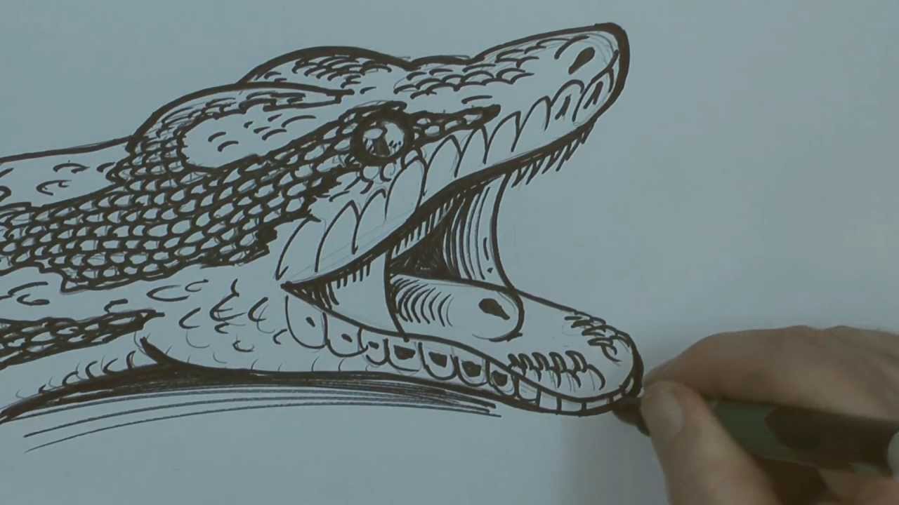 How To Draw A Python Check it out now | howtodrawgirl2