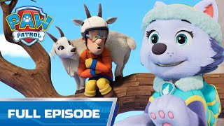 Rubble and Everest Save a Baby Caribou - PAW Patrol Episode - Cartoons ...