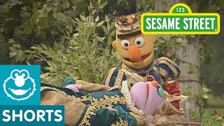 Sesame Street: Bert's Fairytale Theater: Sleeping Beauty