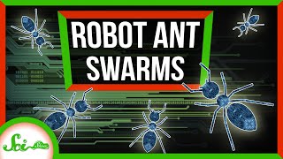 Robot Ant Swarms Have Arrived!