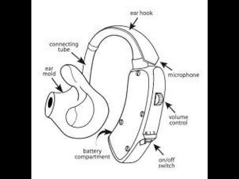 Widex Hearing Aid Parts Diagram