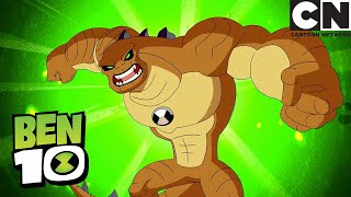 Ben 10's New Hero (Humungusaur) | Ben 10 | Cartoon Network