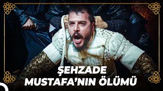 Sultan Süleyman Öz Evladının Canını Aldı Osmanlı Tarihi