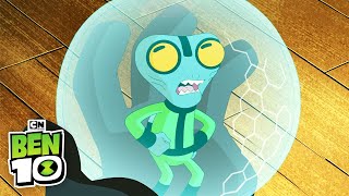 Ben 10 | Grey Matter Tricks Bounty Hunters | Cartoon Network