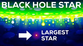 Black Hole Star  The Star That Shouldn't Exist