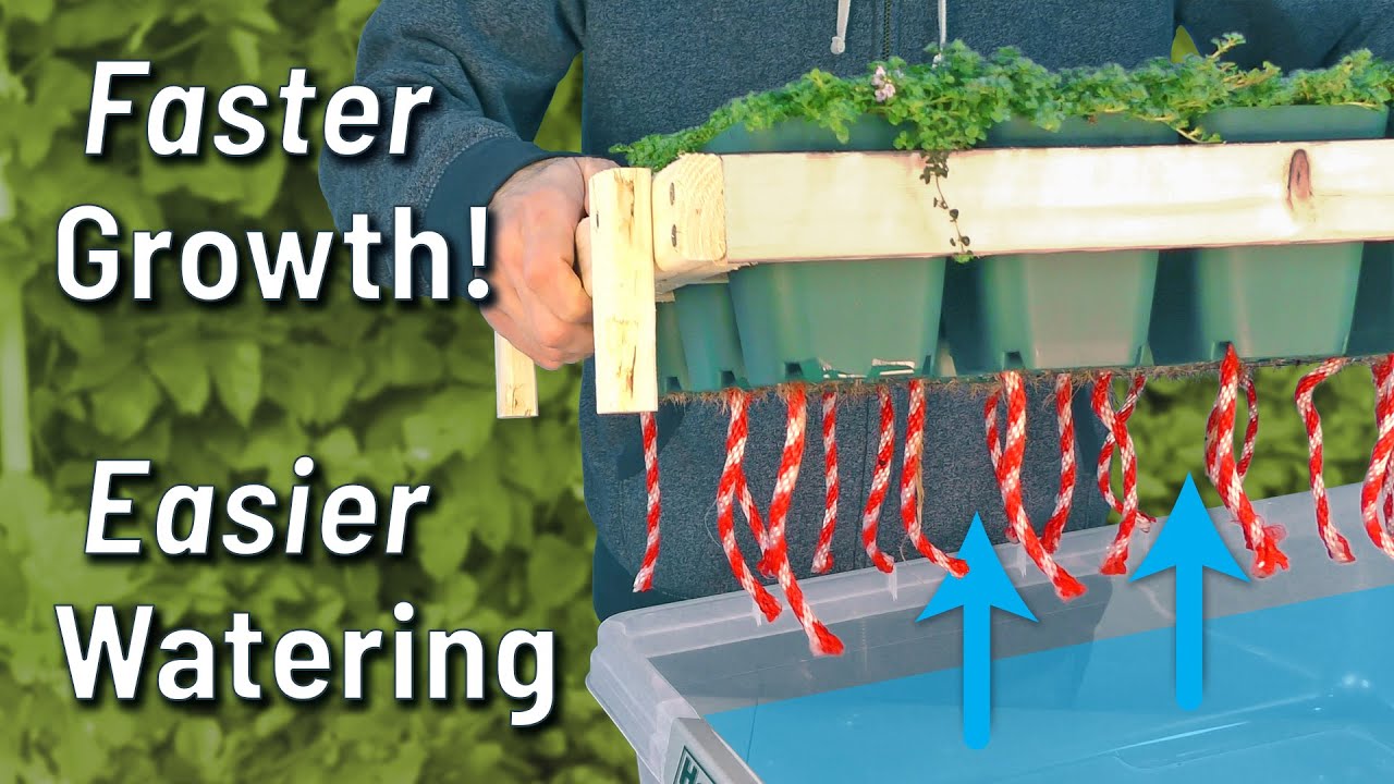 DIY Seed Starting Wicking System for Nursery Pots (Self-Watering SIP) Tutorial