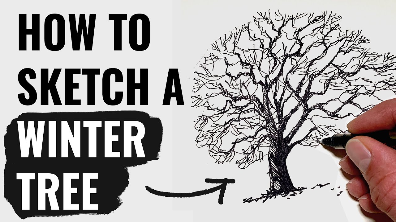 Winter Tree Drawing Tutorial - YouTube