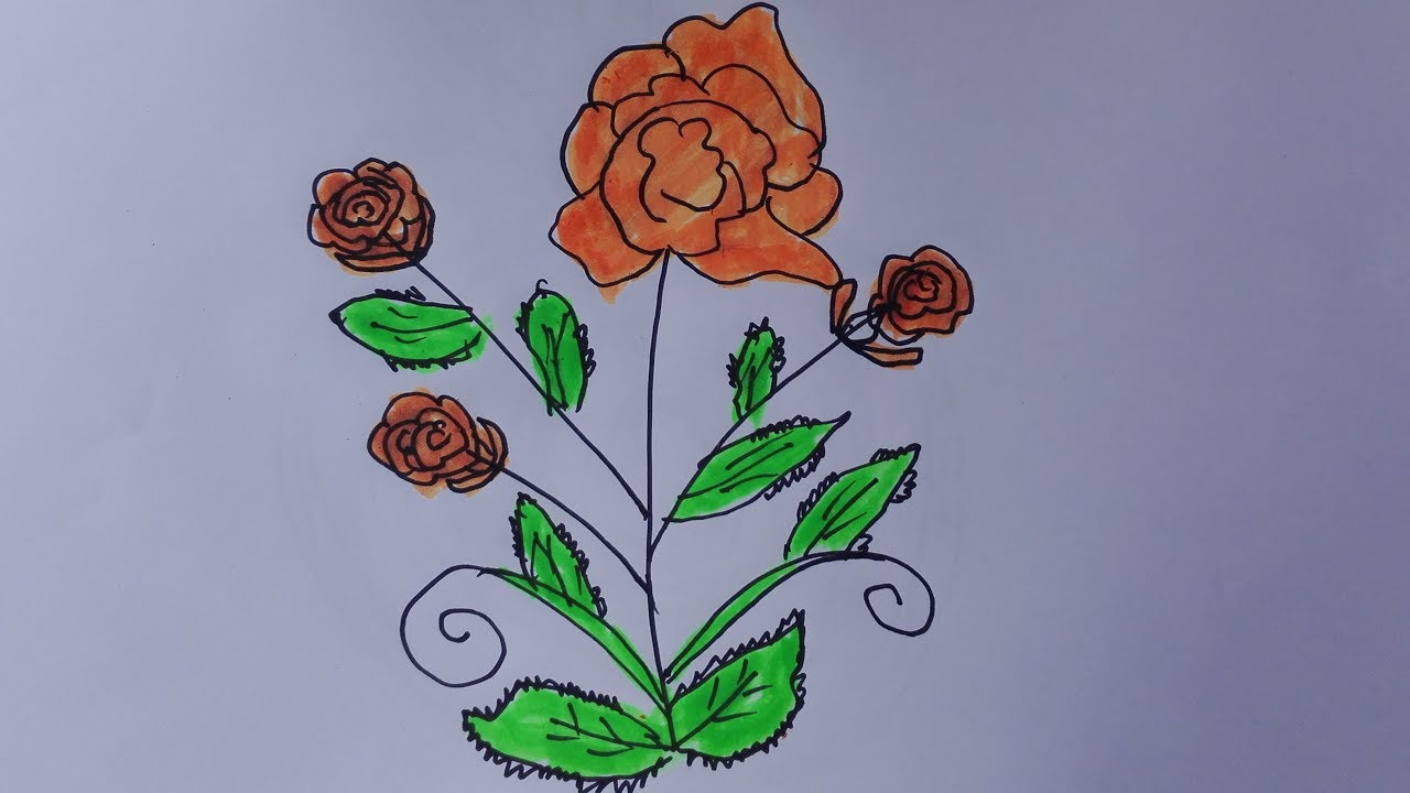 How To Draw A Rose Tree Draw A Rose Bush Easy Draw A Rose Bush