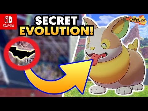 Yampers Evolution Teased And Secretly Revealed Months Ago