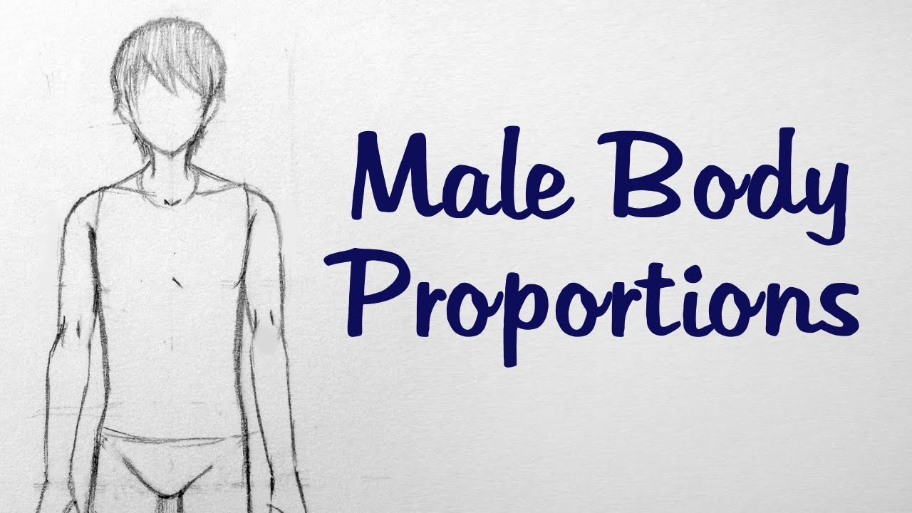 How to Draw Manga: Male Body Proportions - YouTube