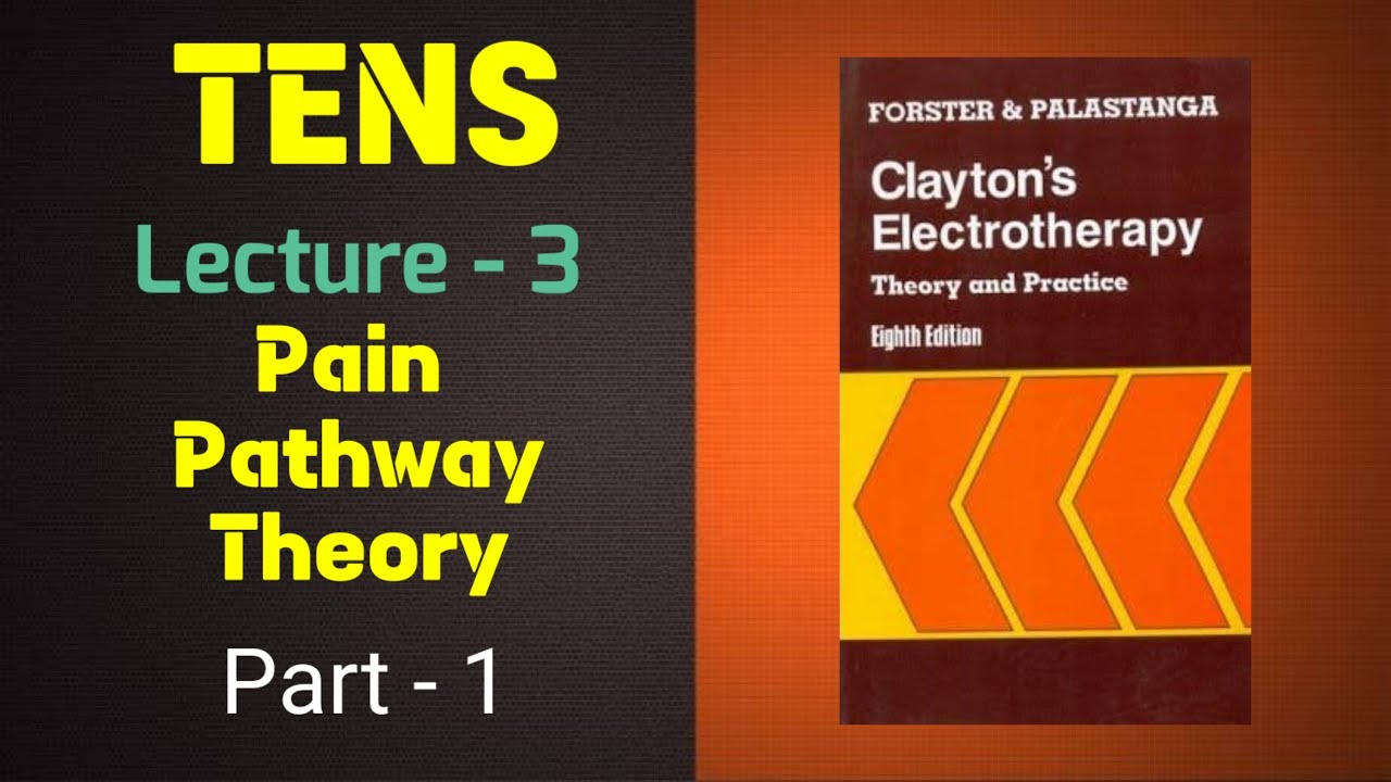 TENS :- Pain Pathway Theory - Physiology - Explained in Hindi - YouTube