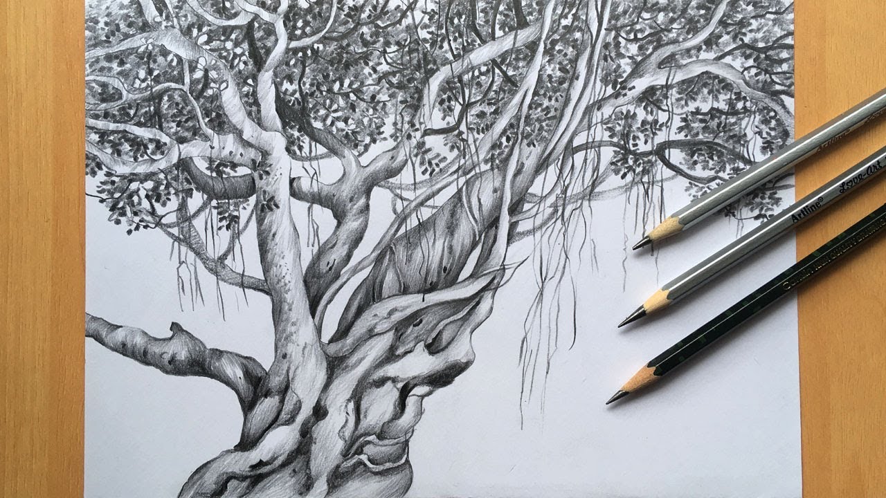 Tree drawing in pencil | banyan tree drawing step by step | pencil ...