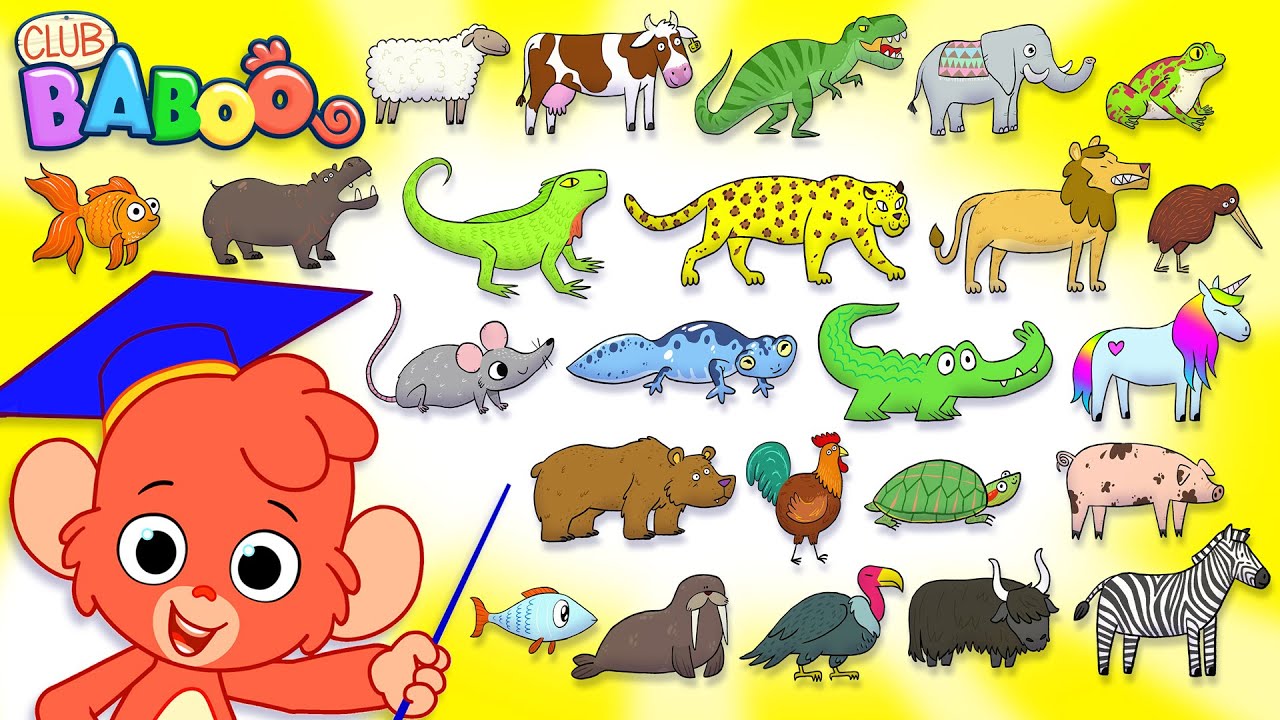 PBS Kids Wiki Animal Alphabet