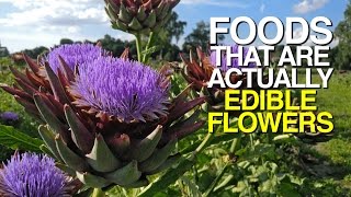 Foods That Are Actually EDIBLE FLOWERS