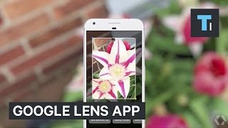 Google just showed off an incredible camera app that identifies real-world objects