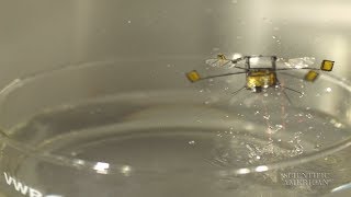 Air-Water Robot Uses Explosive Launch