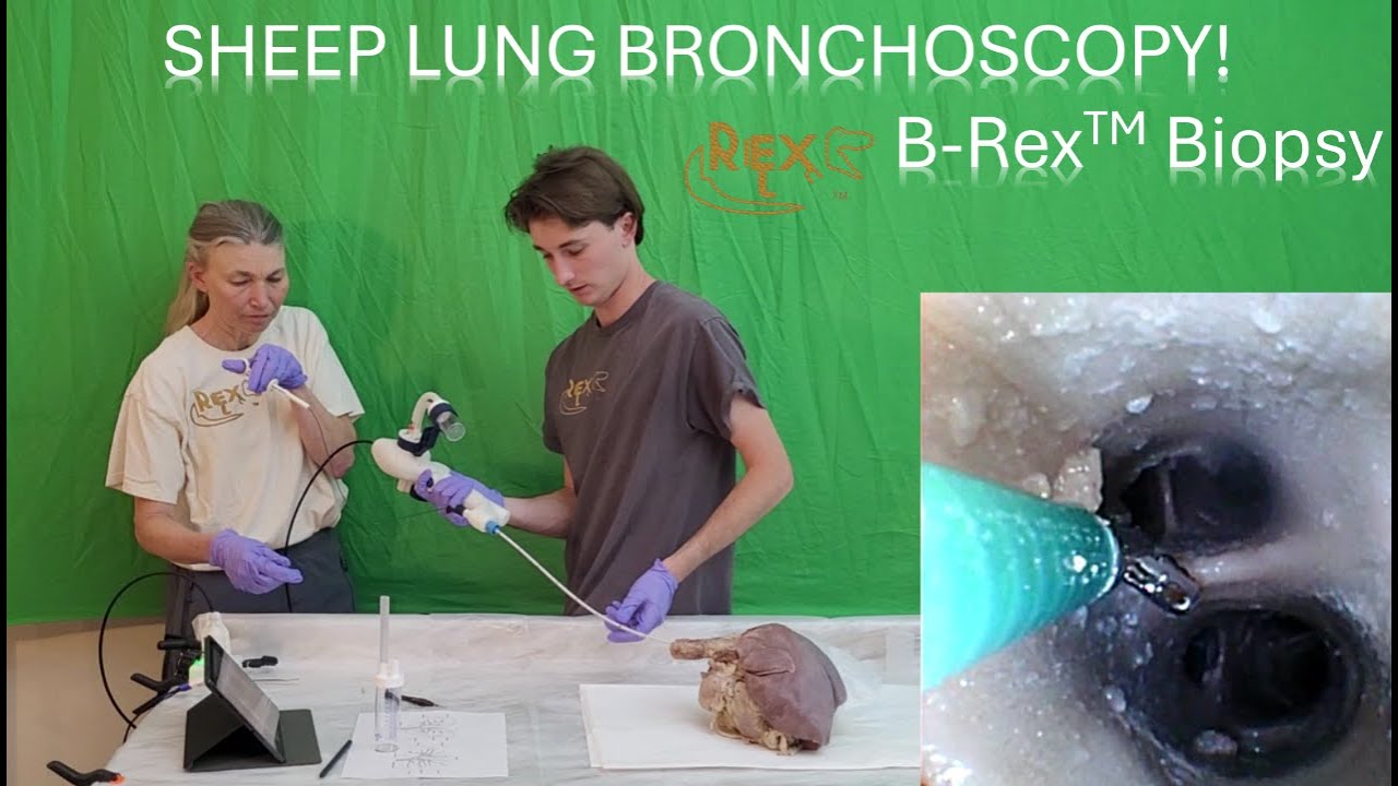 B-Rex™: Biopsy/SEE INSIDE SHEEP LUNGS!! - YouTube