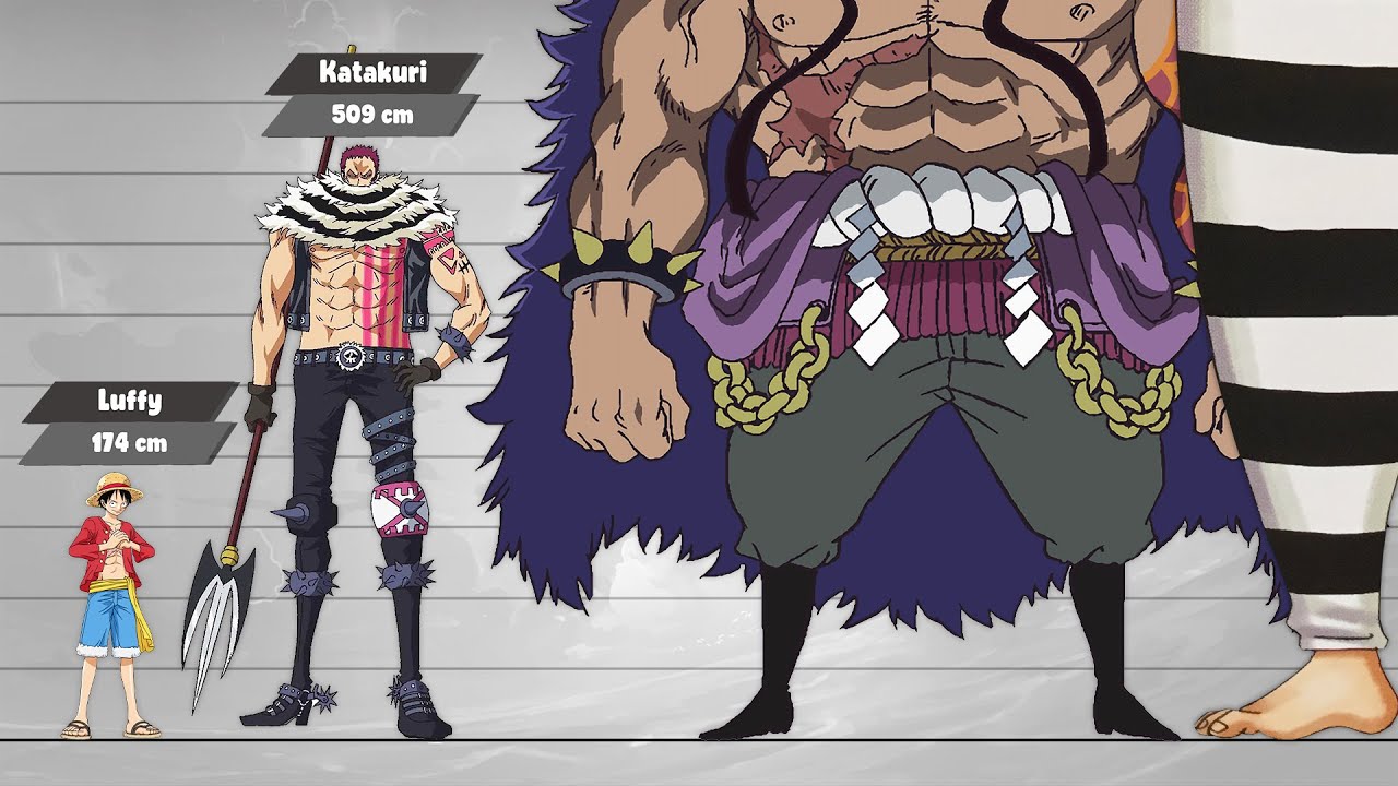 One Piece Size Chart Anime