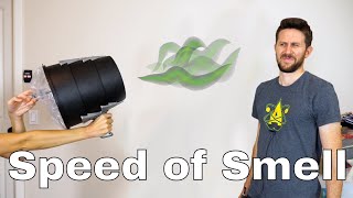 What is the Speed of Smell? Is It Possible to Actually Launch Smell With a Smell Cannon?