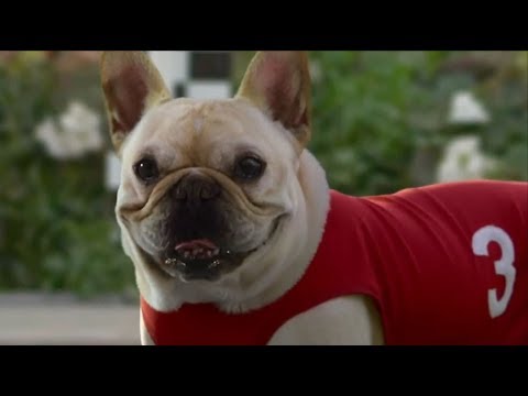 talking dog christmas commercial 2020 10 Funny Dog Commercials Youtube talking dog christmas commercial 2020