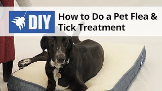 Flea & Tick Treatment for Dogs, Cats, & Other Pets