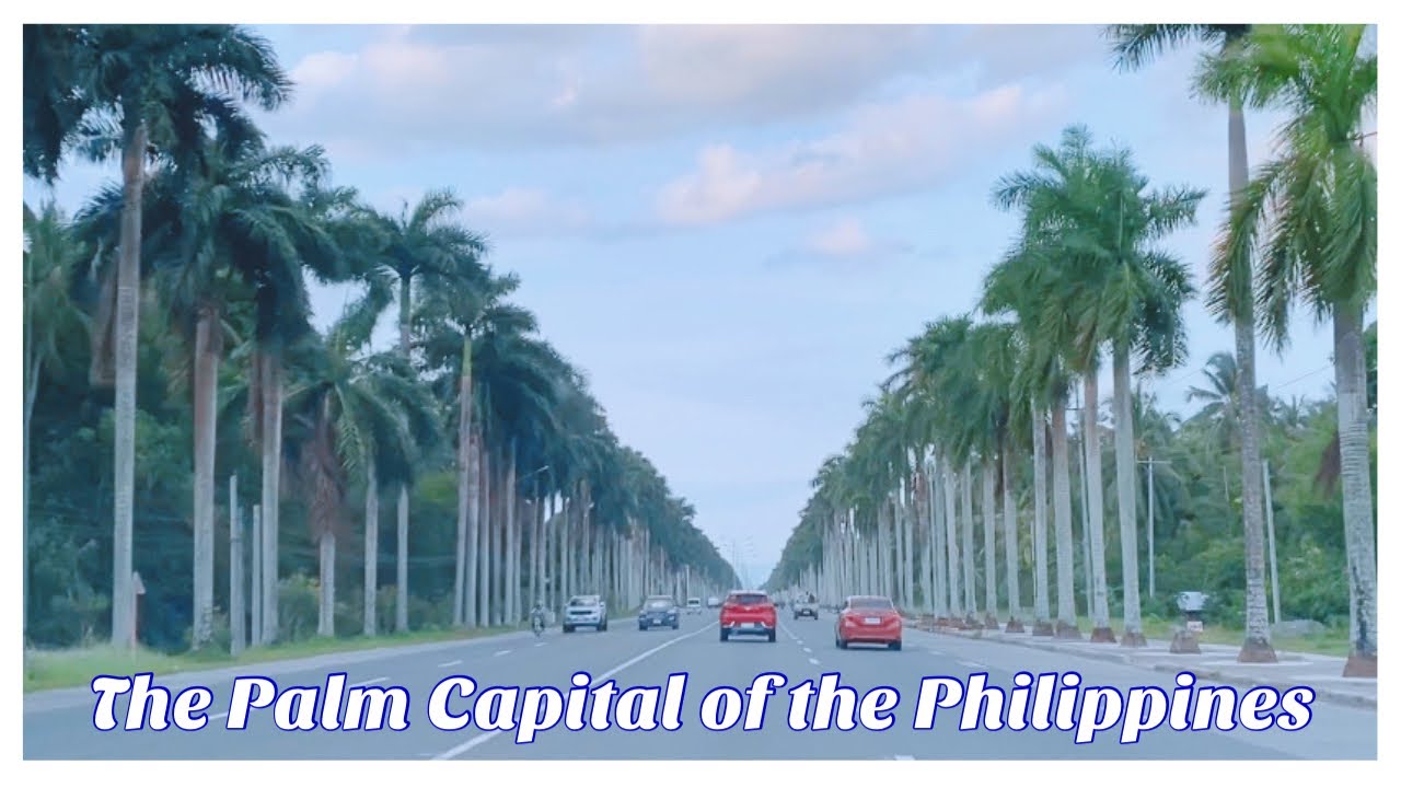 Driving Through Tagum City | The Palm Capital of the Philippines ...