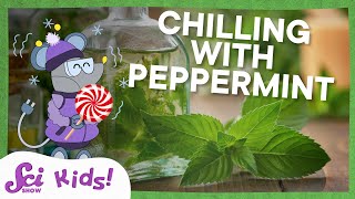 Why Does Peppermint Taste So Cold? | SciShow Kids