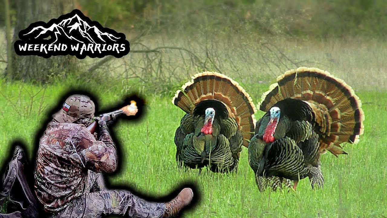 2nd chance turkeys| Texas Turkey Hunting | Verdict Ammunition - YouTube