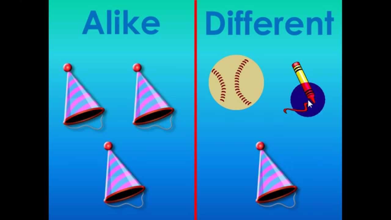 What Are Alike and Different - YouTube