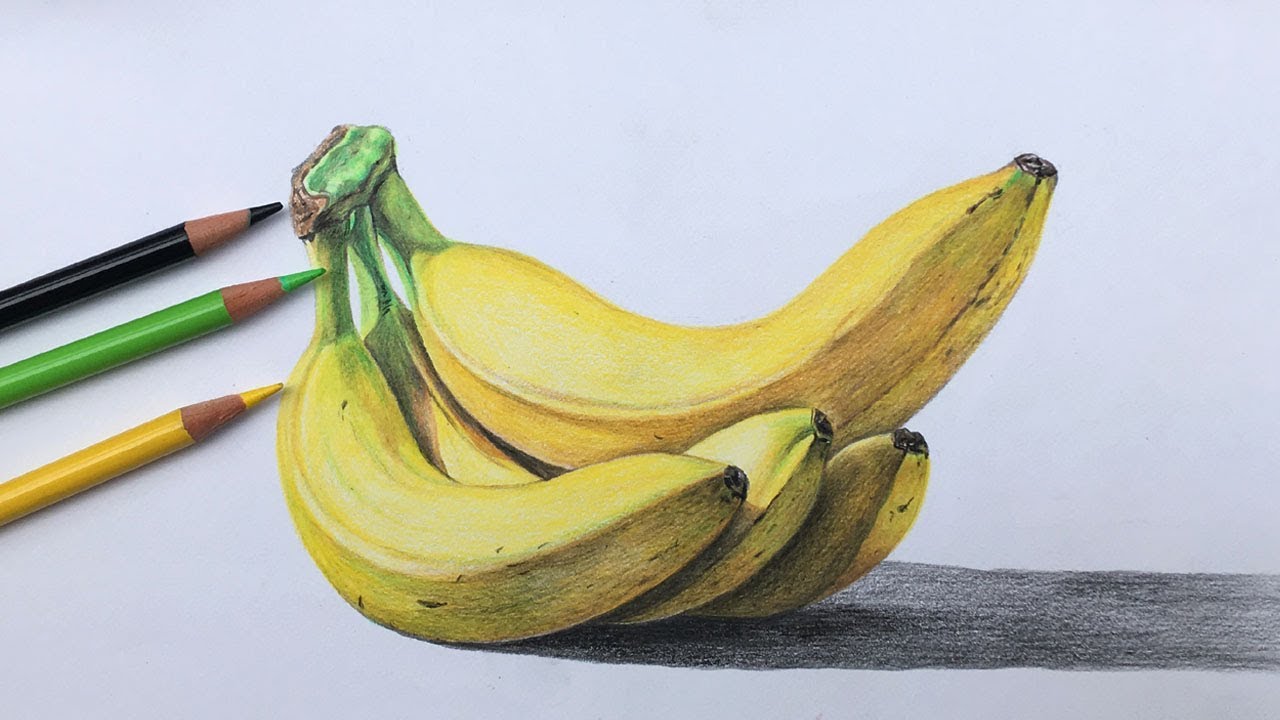 Bananas drawing in color pencils realistic banana drawing fruit